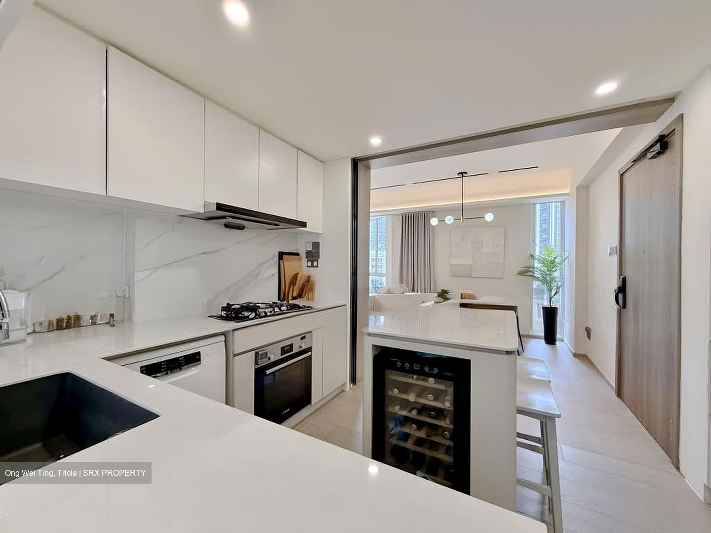 Alessandrea (D3), Apartment #541866221